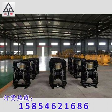 點擊查看詳細信息<br>標題：隔膜泵_氣動隔膜泵_隔膜泵價格_隔膜泵 閱讀次數：1810